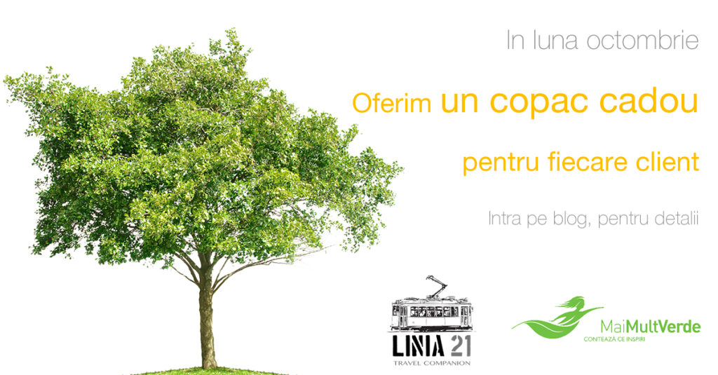 Un copac cadou