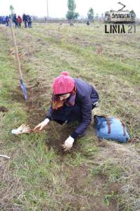 10612922_1540031286234530_4204512143593077607_n